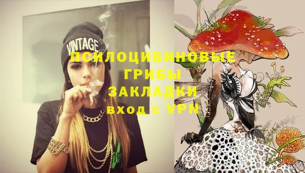 мяу мяу мука Лабытнанги
