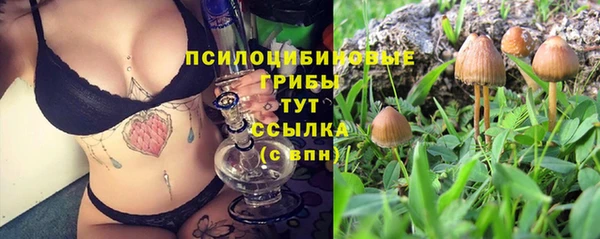 ALPHA-PVP Арсеньев