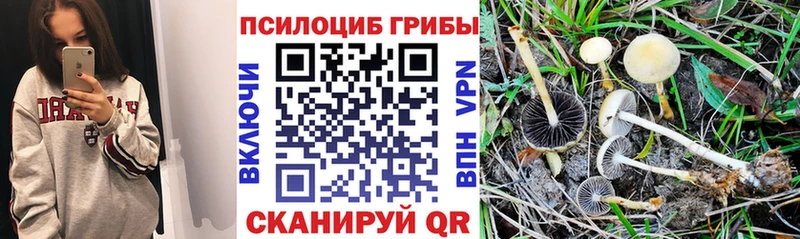 Галлюциногенные грибы Magic Shrooms Ленск